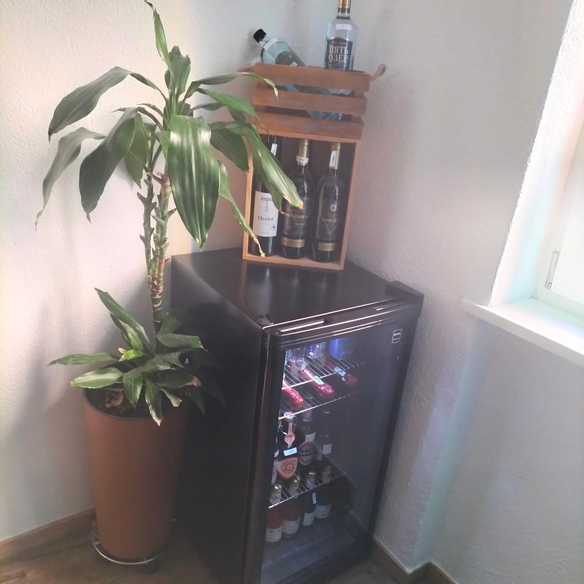 Appartement 01